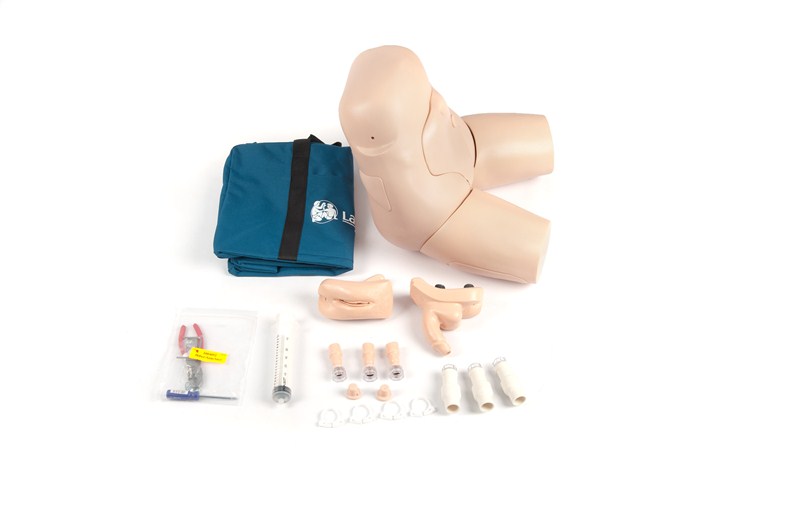 Perineal Care Procedure