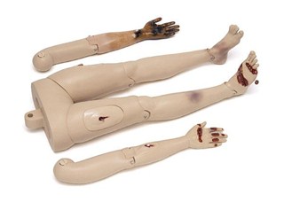 31 Resusci Anne Modular System first aid trauma 31 20 50-1