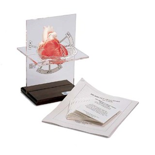 HE-5000 ECG Heart
