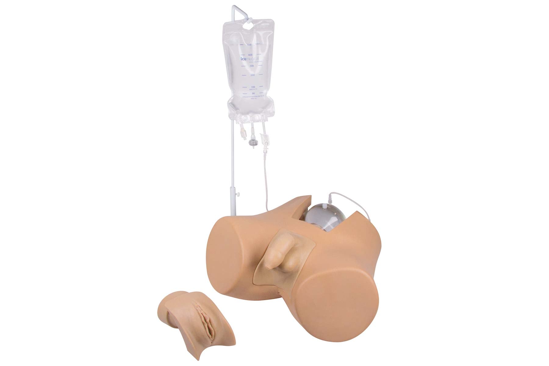 catheterization trainer henri and florence