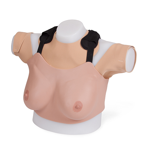 Breast_Examination_Advanced_Trainer_40201_490x490_72_RGB.jpg