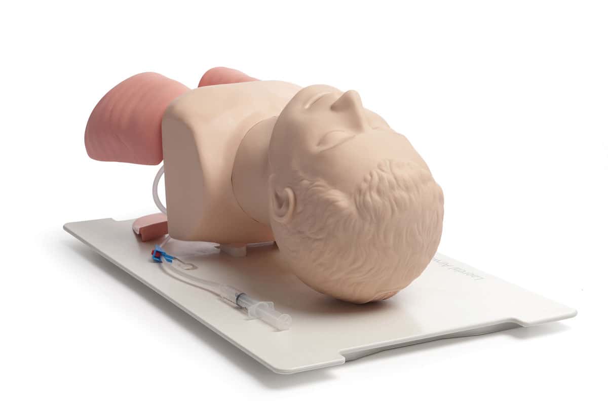 Laerdal Airway Management Trainer Laerdal Airway Management Trainer