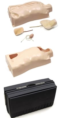 Intraveneuze trainer torso