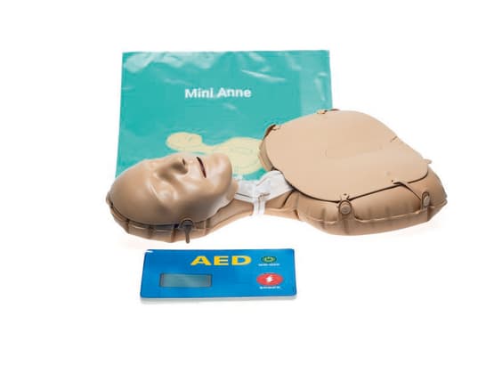 Mini Anne global