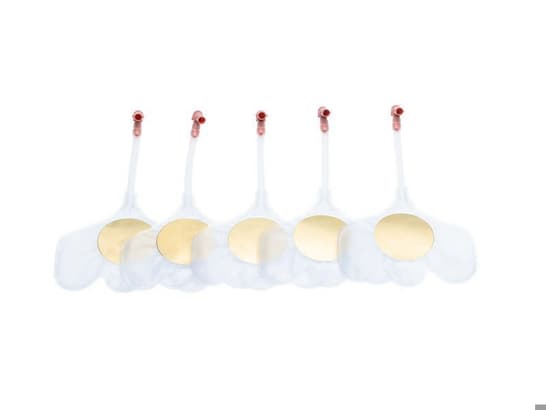 Luchtwegen voor Little Baby QCPR (24x)