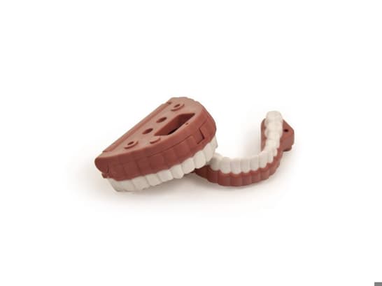 Teeth Set, Resusci Anne Simulator