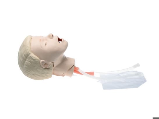 Kit upgrade testa intubabile Resusci Junior QCPR