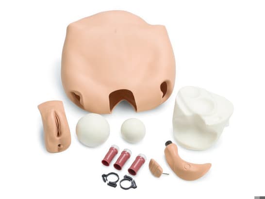 Módulo de Fundus Nursing Anne