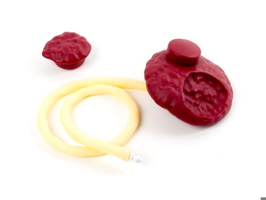 SimMom placenta pequeña