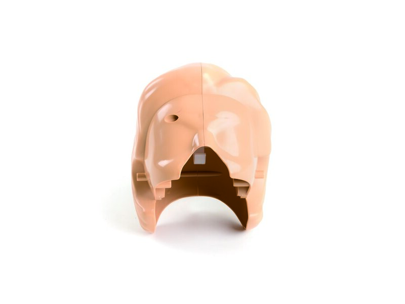 Little Anne Head Assembly Light