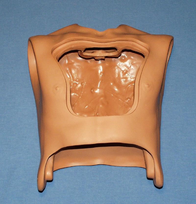 Torso hospitalario