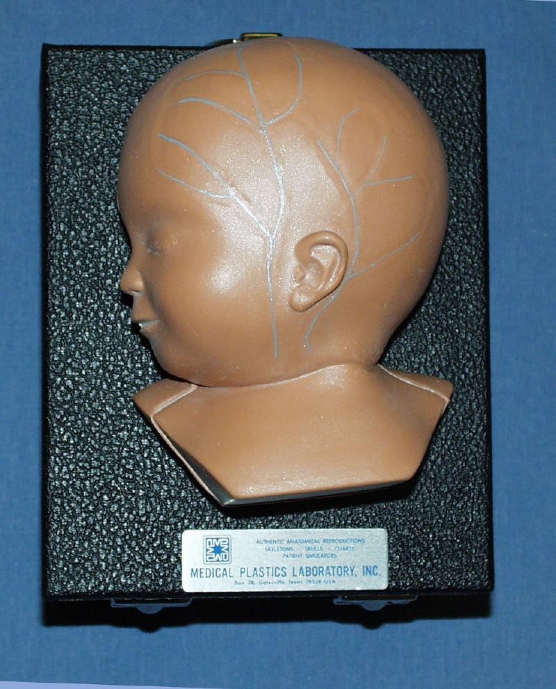 Head Assy, Baby Ivy