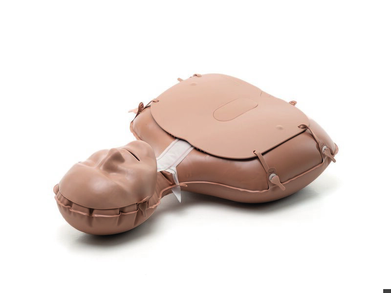 Mini Anne Plus, 1 corps