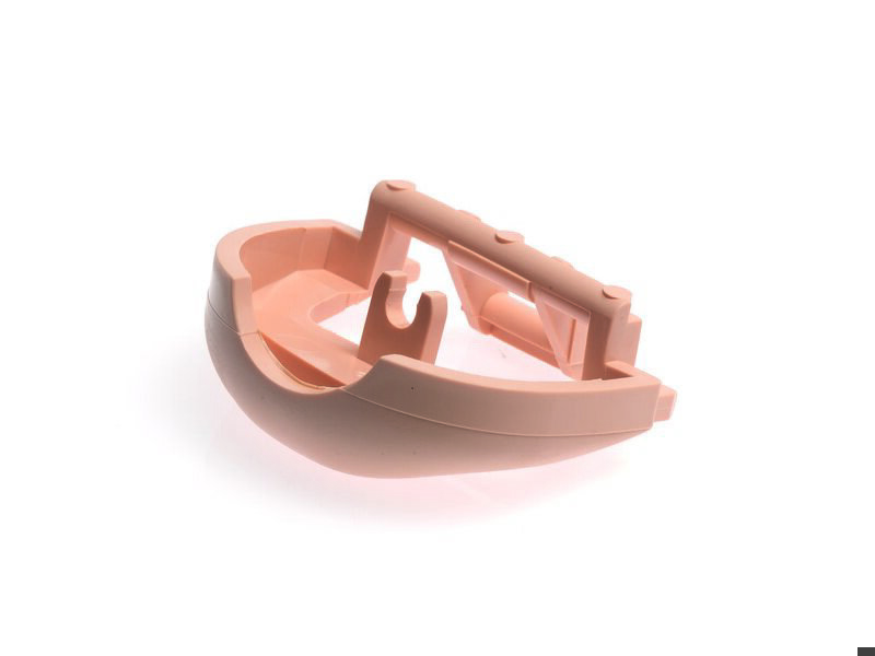Jaw