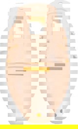 Lung plate
