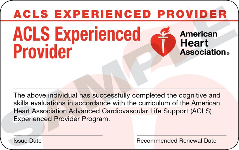 ACLS EP PROVIDER CARD 15 PZ.