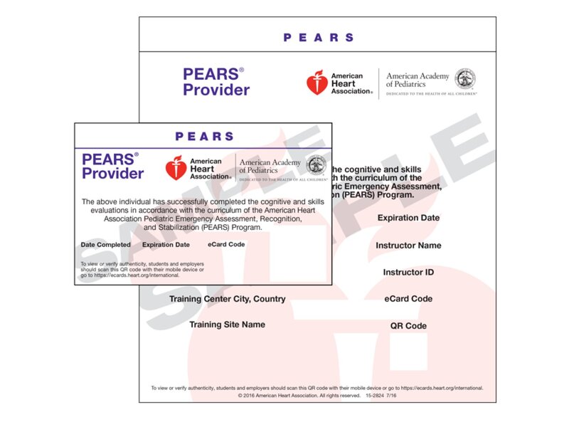 Int. PEARS Estudiante eCar