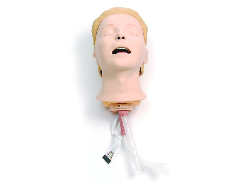 Hoofd met luchtwegen RA simulator 