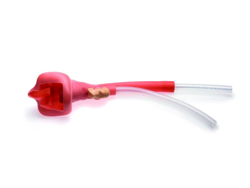 Resusci Anne Simulator/Advanced SkillTrainer Upper Airway Complete