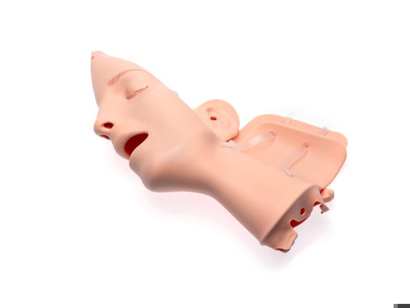 Face Skin RA SIm for new airway head