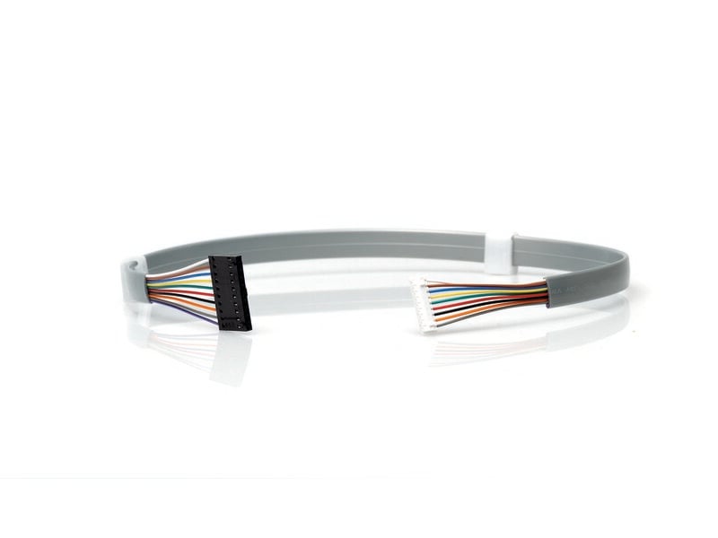 Resusci Anne Simulator/Advanced SkillTrainer Head, Cable