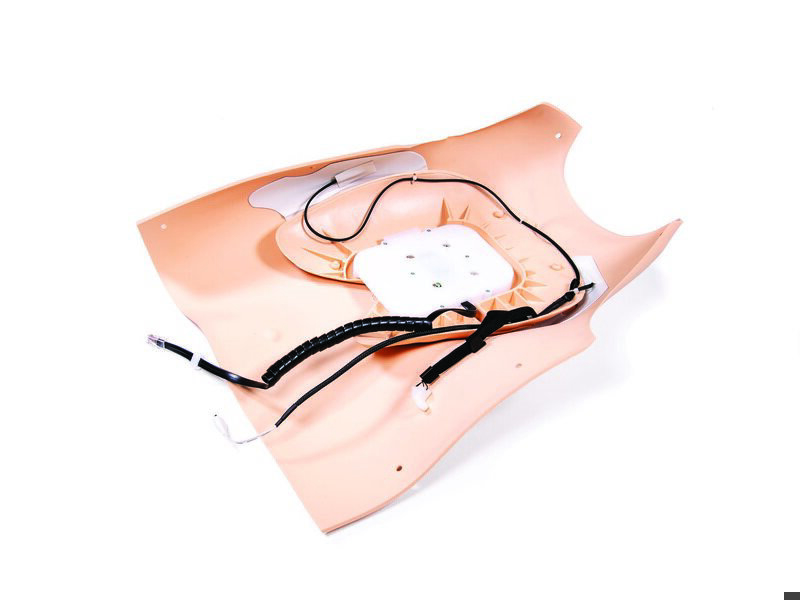 Pelle petto Resusci Anne QCPR AED