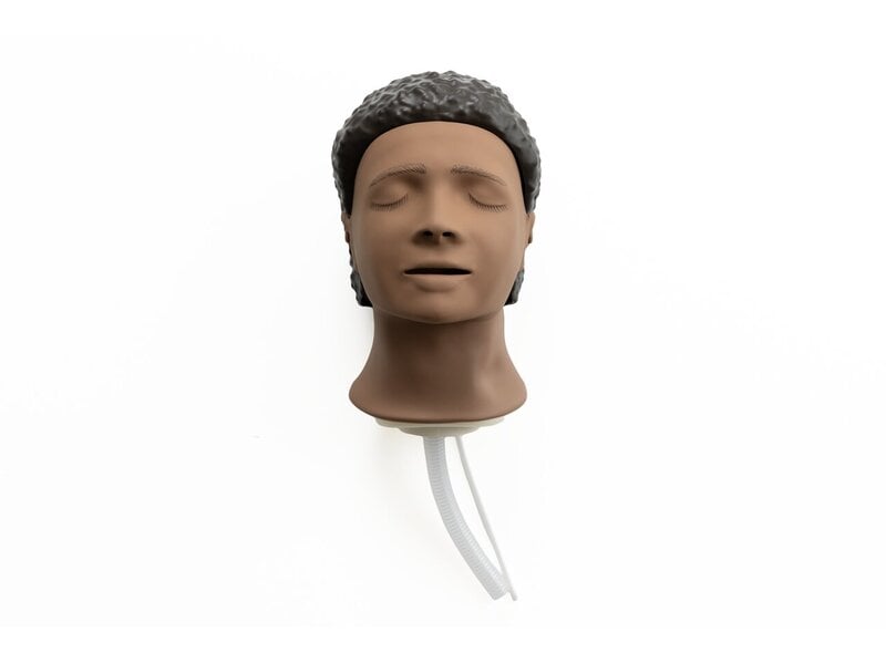 Resusci Anne Head Dark