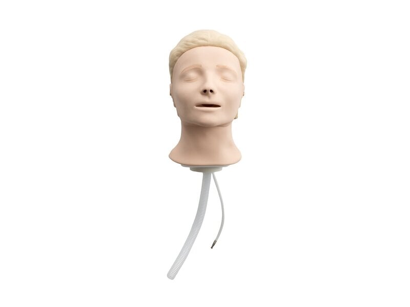 Resusci Anne Head Light