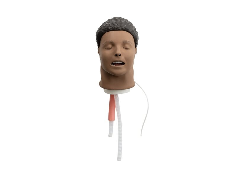 Resusci Anne Head Airway Head Dark