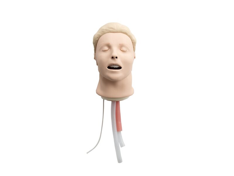 Resusci Anne Head Airway Head Light