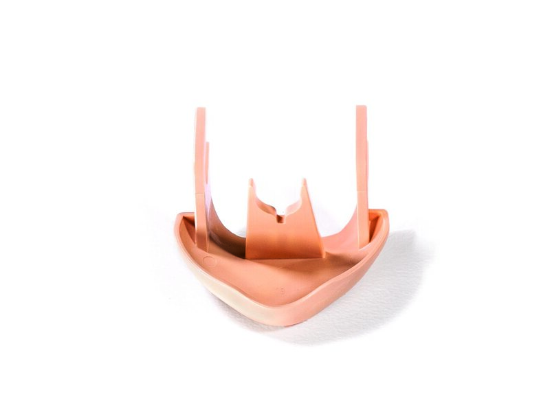 Jaw RJ (no neck skin) 