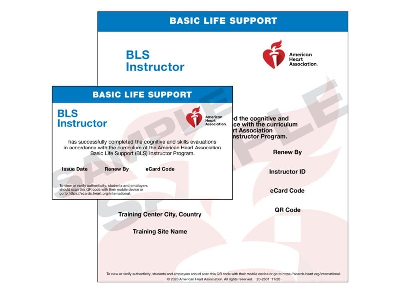 eCard SVB Certificado Instructor 2020 Multilenguaje