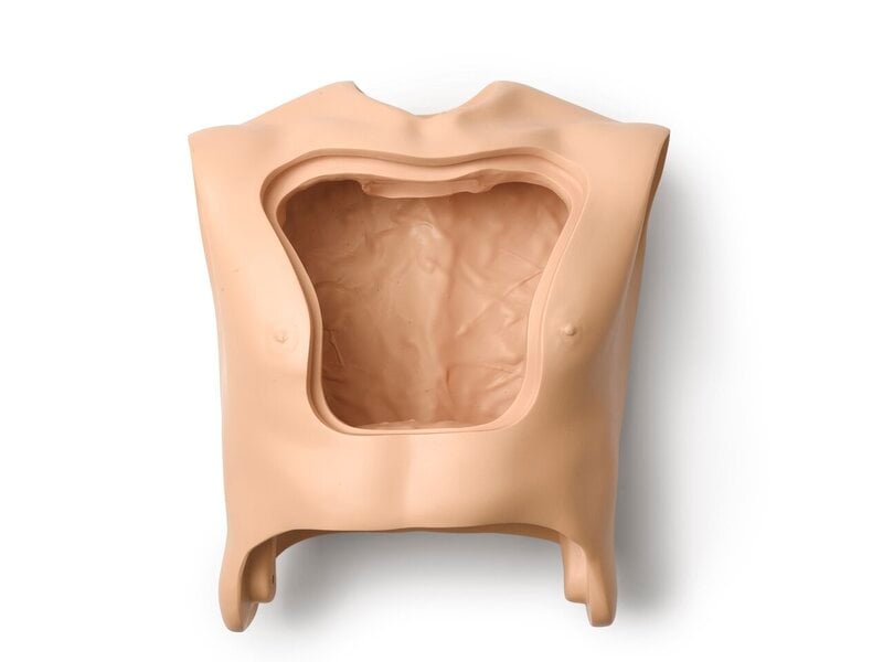 TORSO; ADULT MALE HOSP FULL CUT
