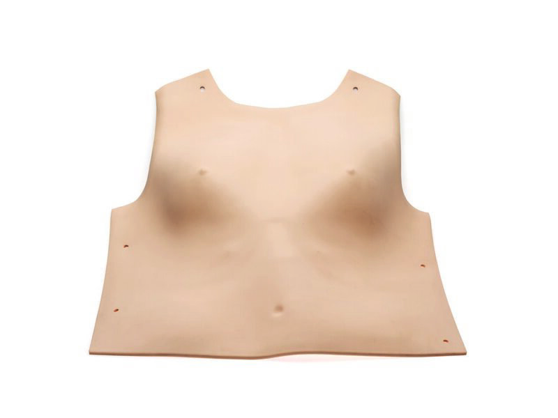 Peau du thorax extérieur