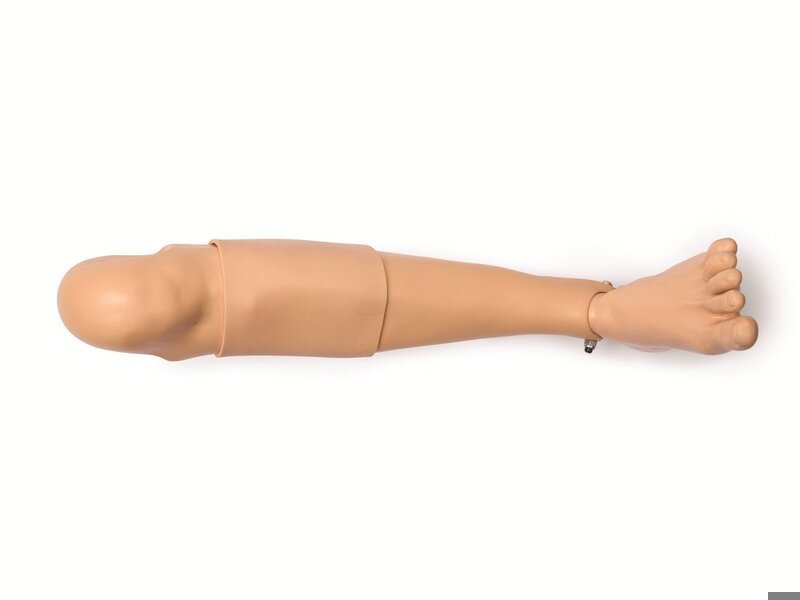 Jambe gauche adulte IO