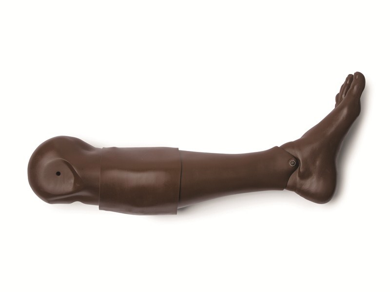 Adult IO Leg Left (B)