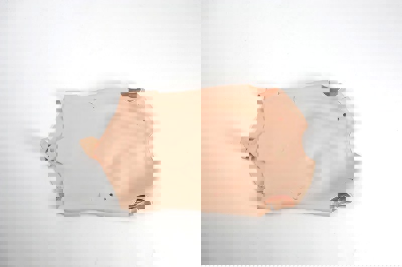 Torso skin