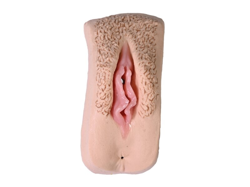 Weibliches Genital, hell 