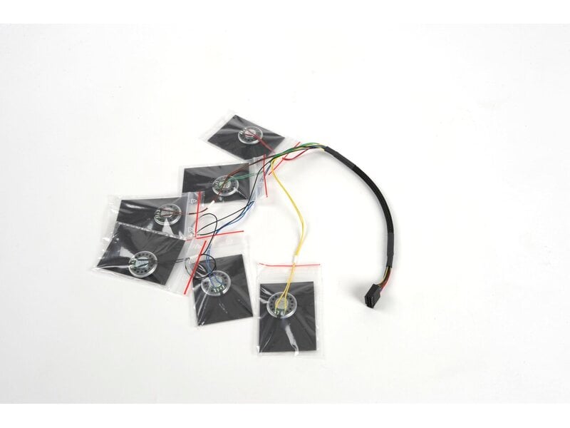 Speaker cable Lung