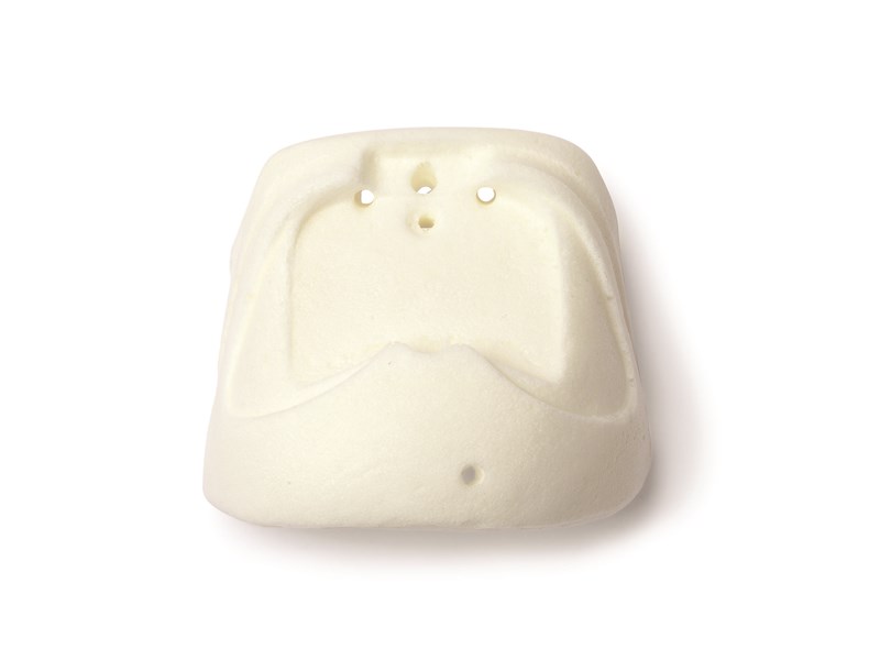 SNB CHEST FOAM