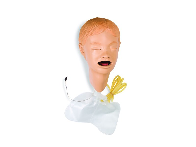 HEAD; PEDI INT SPAD (S)