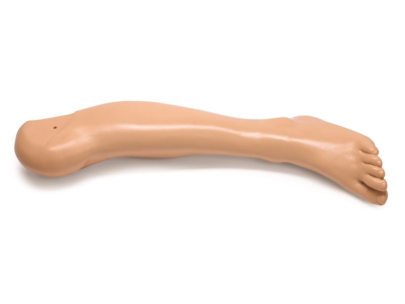LOWER LEG; LT SIMJR (S)