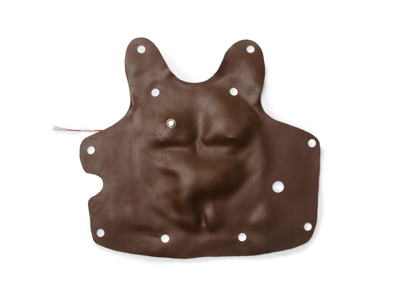CHEST SKIN; SIMJR (B)