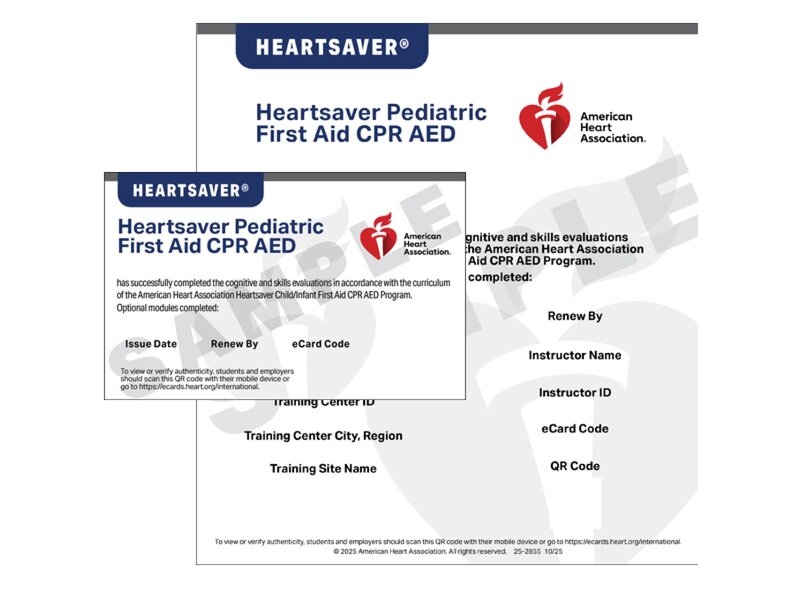 IVE HS Peds FA CPR AED eCard