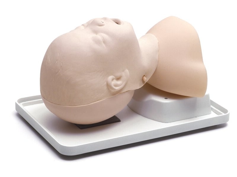 Infant Airway Management Trainer (multi)