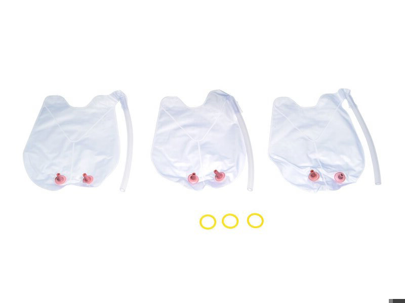 Lungs/Stomach, Infant Airway Management Trainer