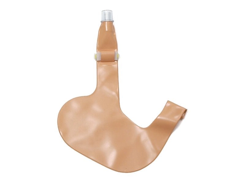 AMT Stomach, cpl.