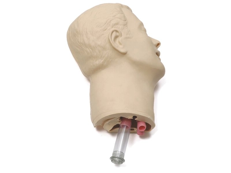 Head skin & airways ALS/AMT