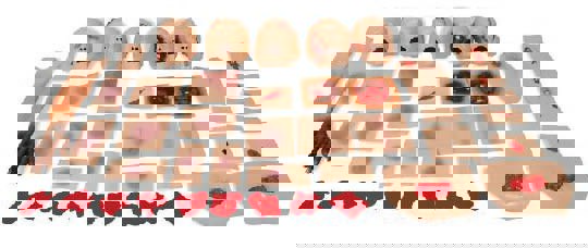 BTLS Victim Injury Set