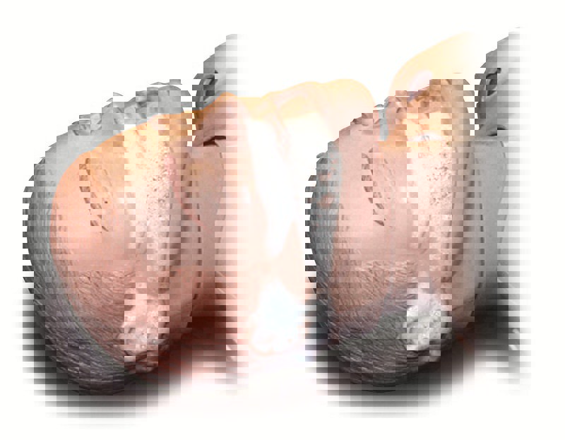 Simulated NBC (Nuclear, Biological, Chemical) Module
